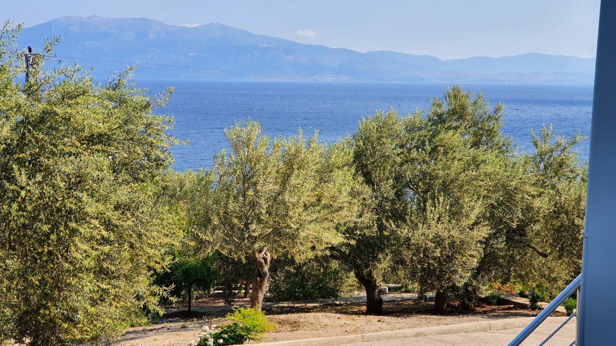 Assos Nazan Motel Restoran Beach Sokakagzi Pokój zdjęcie