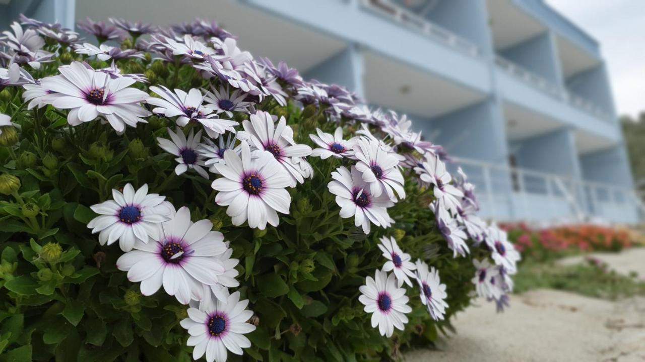 Assos Nazan Motel Restoran Beach Sokakagzi Zewnętrze zdjęcie